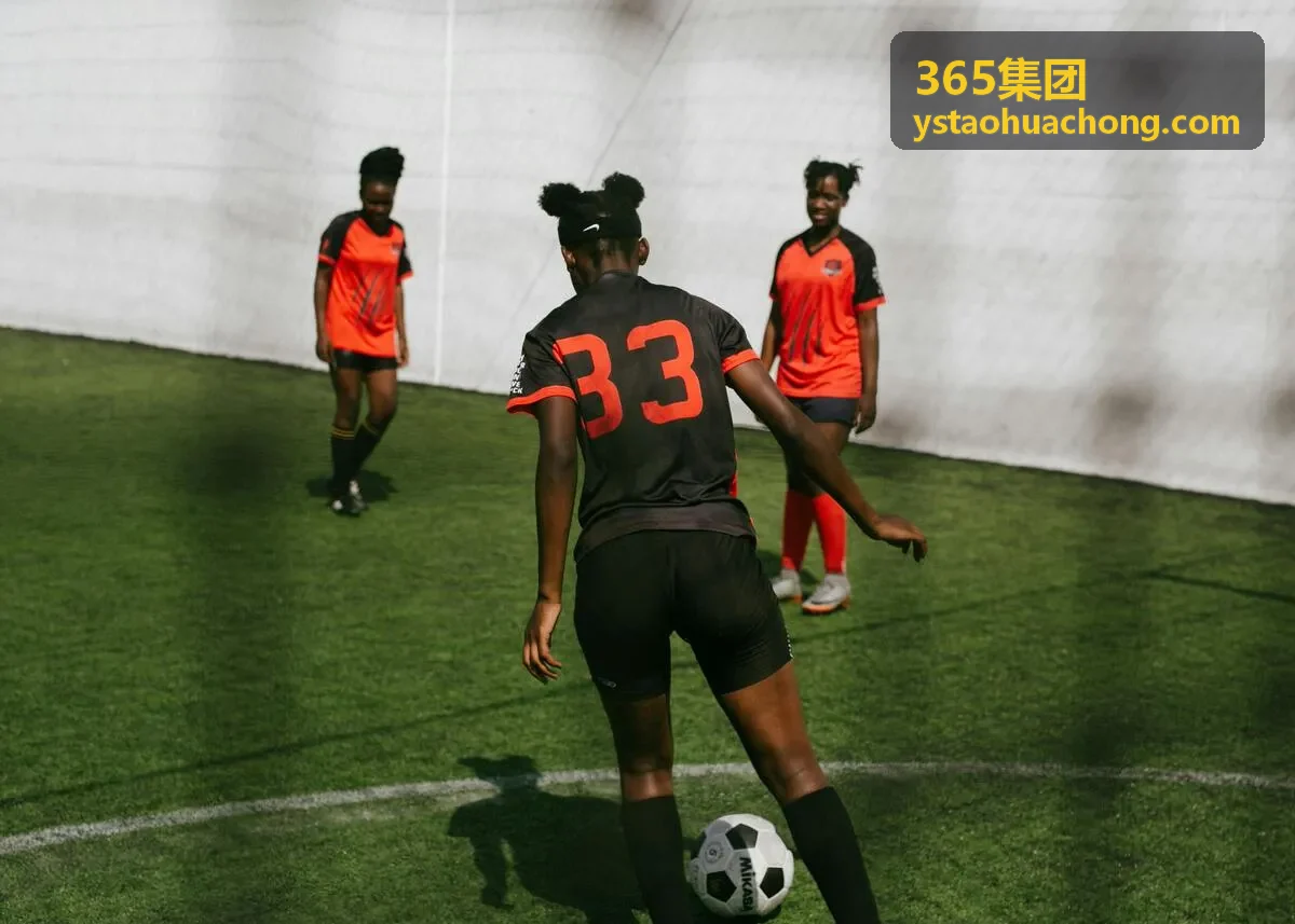 365集团农业案例
