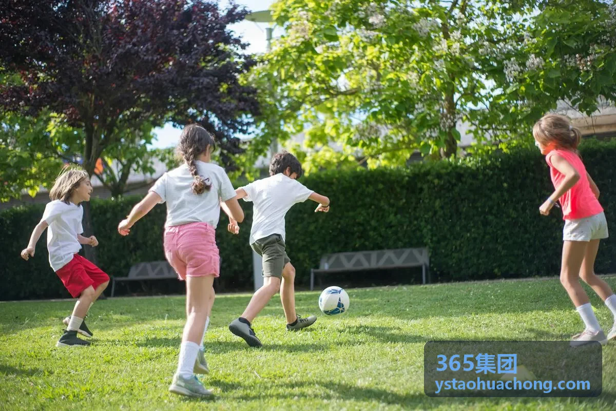 365集团制造案例